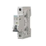 Siemens_5SJ4103-8HG40.jpg