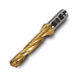 Ingersoll_3212750.jpg