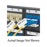 Panduit_F100X213AJT.jpg