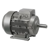 Siemens_A6X30088841.jpg