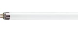 Philips_230847.jpg