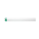 Philips_479600.jpg