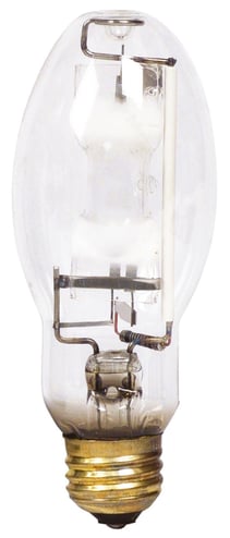 PHILIPS_313585.jpg