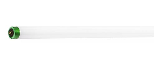 Philips_236851.jpg