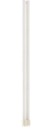 Philips_300434.jpg